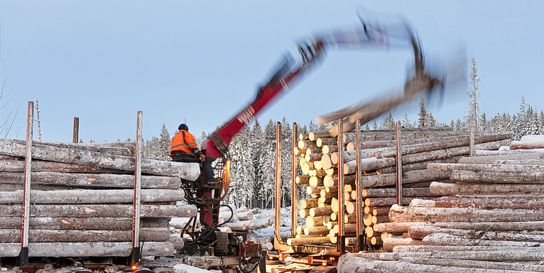 man som arbetar med skogsmaskin1